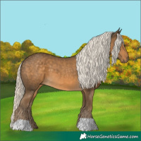 Horse Color:Chocolate Palomino 