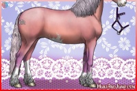 Horse Color:Watercolor Silver Bay Pearl Sabino