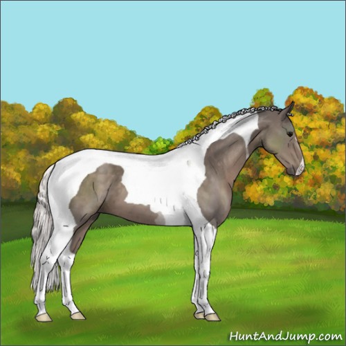 Horse Color:Silver Black Tobiano 