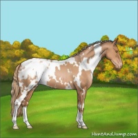 Horse Color:White Spotted Liver Chestnut Pearl Varnish 