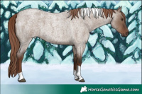 Horse Color:Liver Red Dun Roan Tobiano