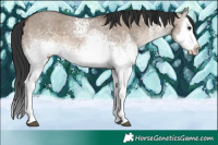 Horse Color:White Spotted Brown Dun Splash