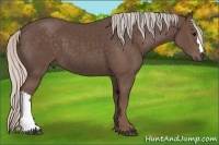 Horse Color:Silver Black 