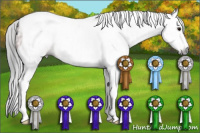 Horse Color:Gray Bay Tobiano Rabicano  and Gray Bay Tobiano Rabicano 