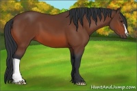 Horse Color:Brown 