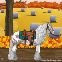 Horse Color:Liver Red Dun Mushroom Tobiano Appaloosa 