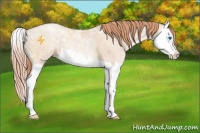 Horse Color:Classic Champagne Ice Pearl Sabino Splash