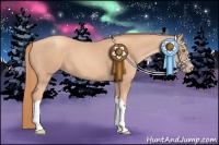 Horse Color:Gold Champagne