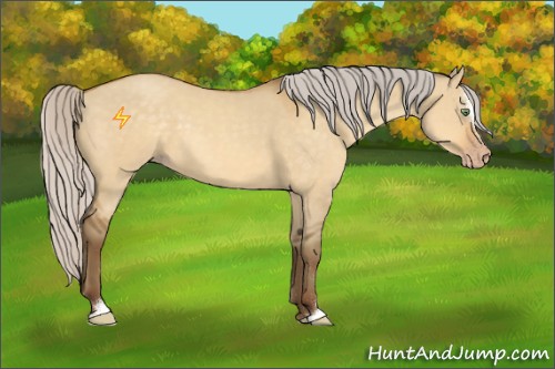 Horse Color:Silver Sable Cream Champagne Dun Sabino 