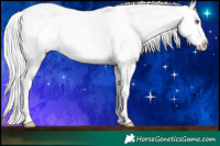 Horse Color:Midnight Silver Brown Chinchilla Ice Dun Near Leopard Rabicano 