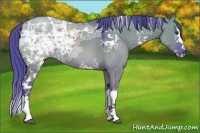 Horse Color:Watercolor White Spotted Grullo Chinchilla Ice Splash
