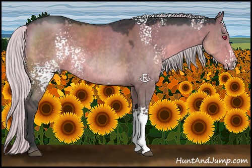 Horse Color:White Spotted Silver Grullo Chinchilla 