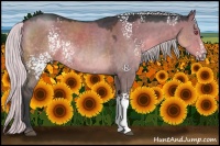 Horse Color:White Spotted Silver Grullo Chinchilla