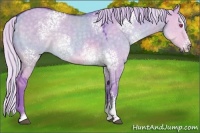 Horse Color:Watercolor White Spotted Silver Grullo Chinchilla Sabino 