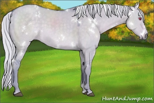 Horse Color:Watercolor White Spotted Silver Grullo Chinchilla 