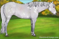 Horse Color:Watercolor White Spotted Silver Grullo Chinchilla 