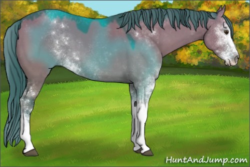Horse Color:Watercolor Grullo Chinchilla Sabino 