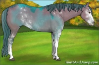 Horse Color:Watercolor Grullo Chinchilla Sabino 