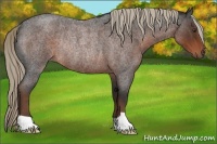 Horse Color:Liver Red Roan Rabicano