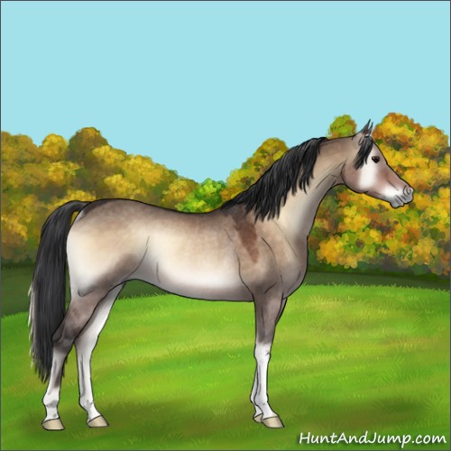 Horse Color:Brown Onyx Rabicano 