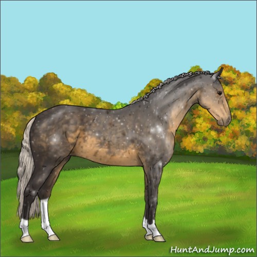 Horse Color:Silver Smoky Black 