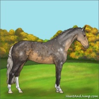 Horse Color:Silver Smoky Black