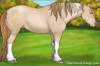 Horse Color:Smoky Black Pearl Tobiano Rabicano 