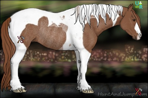 Horse Color:Chestnut Tobiano Rabicano 