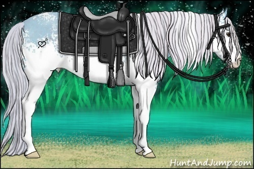 Horse Color:Watercolor White Spotted Chocolate Palomino Rabicano 