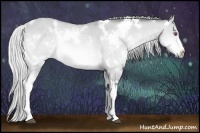 Horse Color:White Spotted Silver Bay Chinchilla Dun 