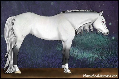 Horse Color:Silver Bay Chinchilla Dun 