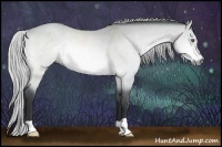 Horse Color:Silver Bay Chinchilla Dun 