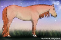 Horse Color:Watercolor Red Dun