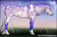 Horse Color:Watercolor White Spotted Silver Buckskin 