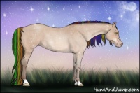 Horse Color:Painted Sable Champagne Roan 