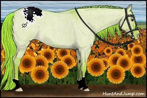 Horse Color:Watercolor Liver Red Dun Roan Appaloosa