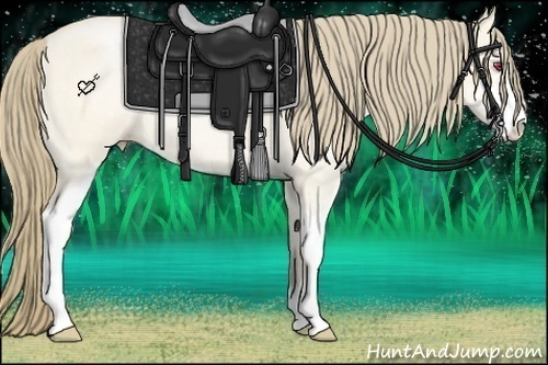Horse Color:Smoky Black Chinchilla Pearl Sabino