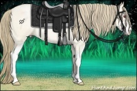 Horse Color:Smoky Black Chinchilla Pearl Sabino