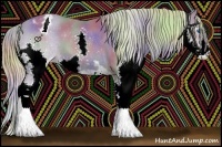 Horse Color:Nacre Watercolor Chocolate Palomino Sabino Splash Appaloosa