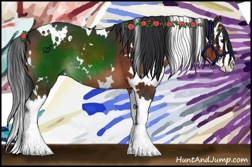 Horse Color:White Spotted Brown Splash