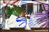 Horse Color:White Spotted Brown Splash 