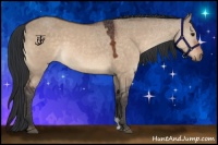 Horse Color:Bay Dun