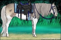 Horse Color:Silver Grullo Onyx Splash