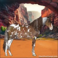 Horse Color:White Spotted Liver Chestnut Sabino