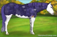 Horse Color:Watercolor Black Ice Splash