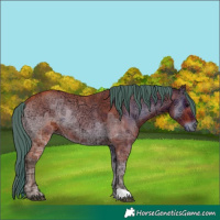 Horse Color:Watercolor Bay Ice Onyx