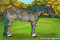 Horse Color:Watercolor Bay Ice Onyx 