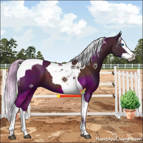 Horse Color:Silver Brown Splash Tobiano 