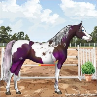 Horse Color:Silver Brown Splash Tobiano 