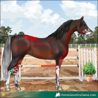 Horse Color:Brown Splash